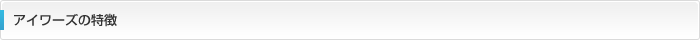 アイワーズの特徴